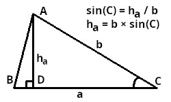 Höhe ha, ausgedrückt als Funktion der Seite „b“ und des Sinus des Winkels C
