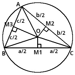Die Mittelsenkrechten und der Umkreis des Dreiecks